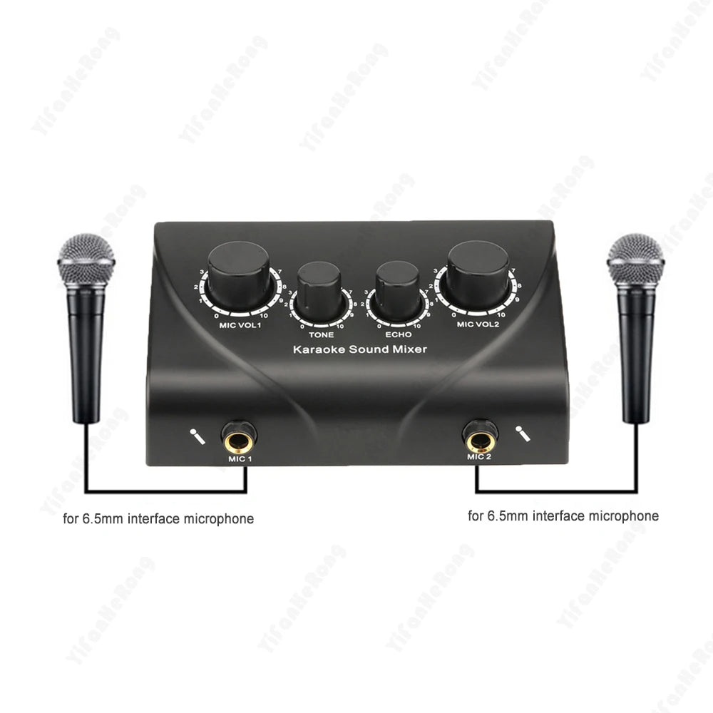 Dual Mic Karaoke Mixer with Echo Control