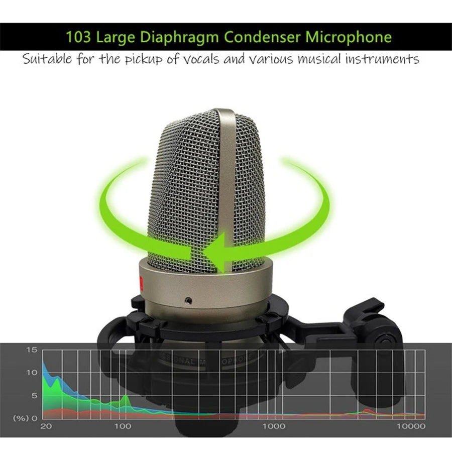 Professional Condenser Microphone Studio Kit