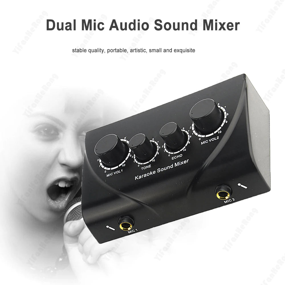 Dual Mic Karaoke Mixer with Echo Control