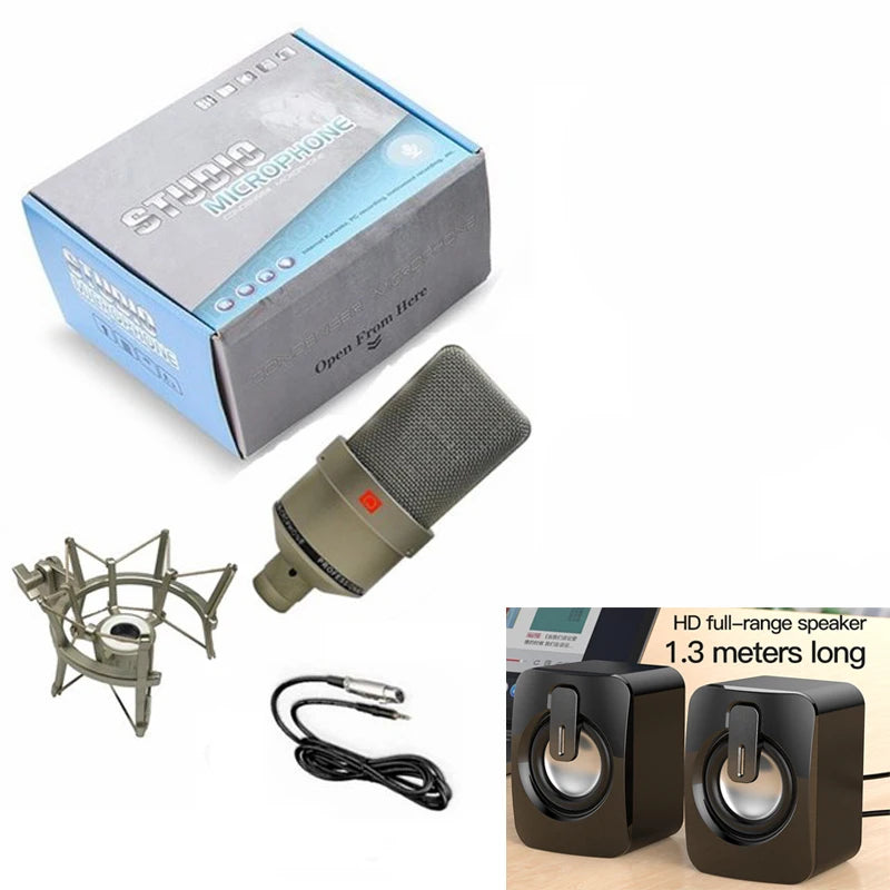 Professional Condenser Microphone for Home Studio