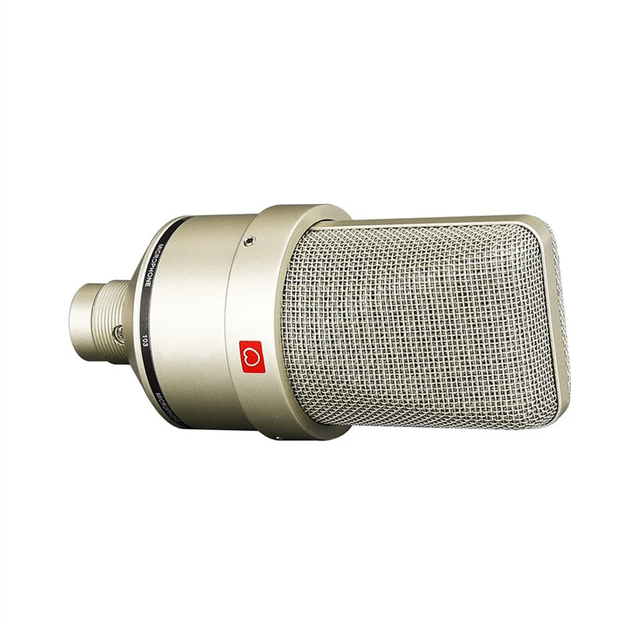 Professional Condenser Microphone Studio Kit
