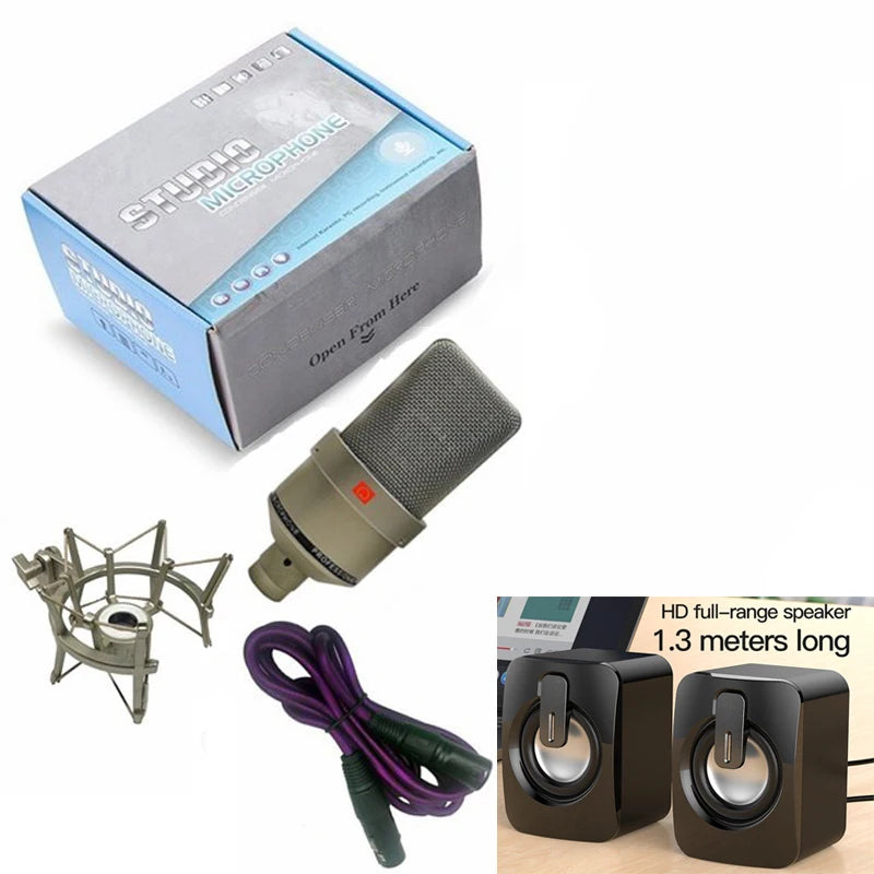 Professional Condenser Microphone for Home Studio