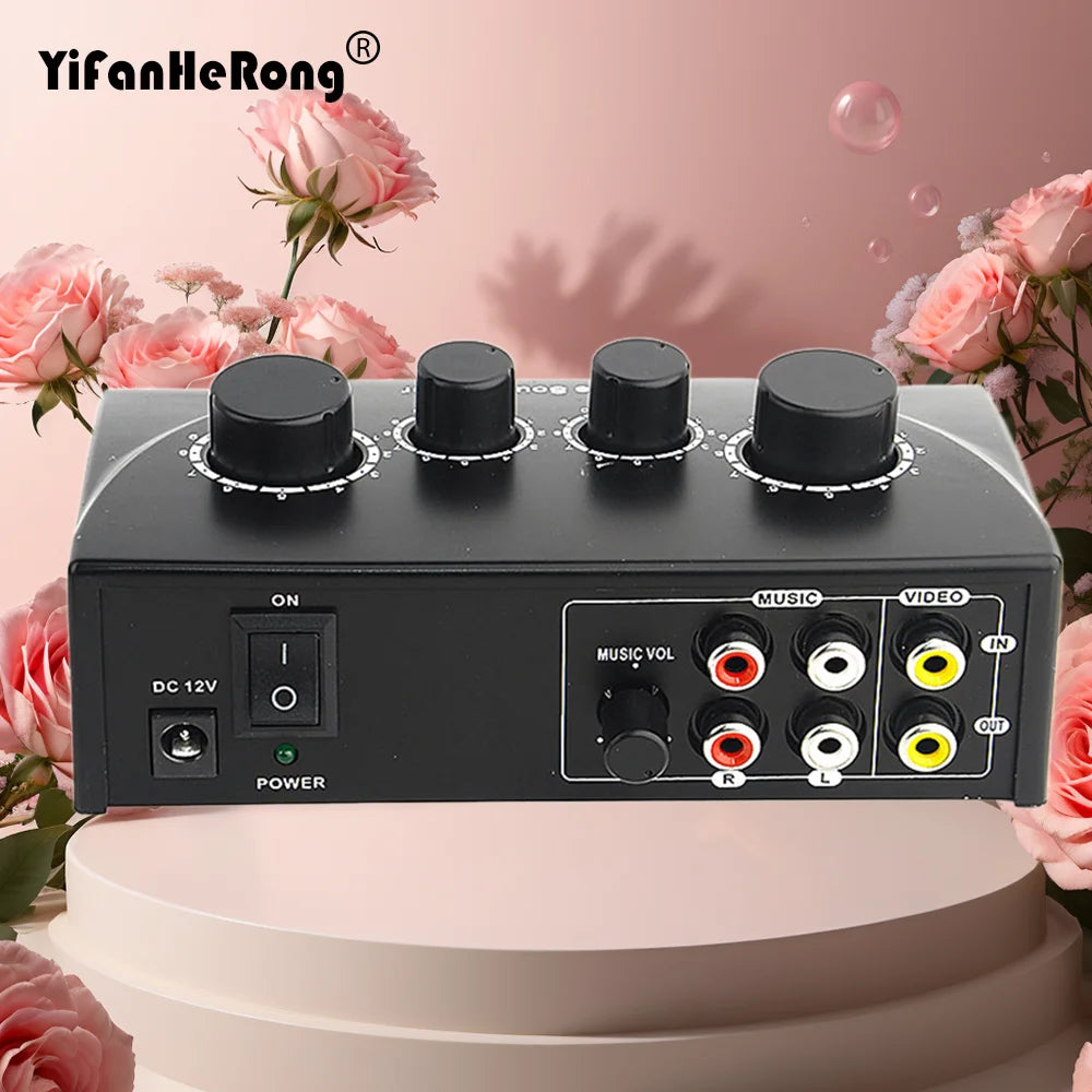 Dual Mic Karaoke Mixer with Echo Control
