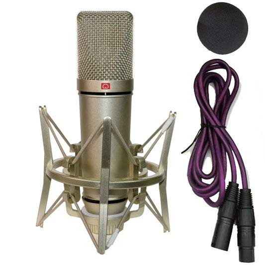 Professional Condenser Microphone Studio Kit