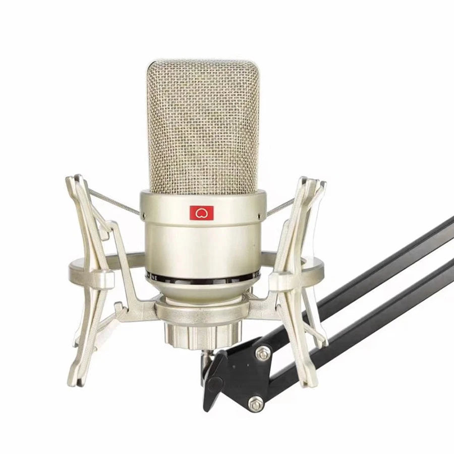 Professional Condenser Microphone Studio Kit