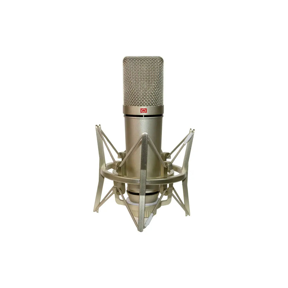 Professional Condenser Microphone Studio Kit