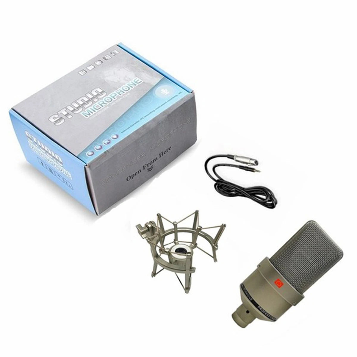 Professional Condenser Microphone Studio Kit