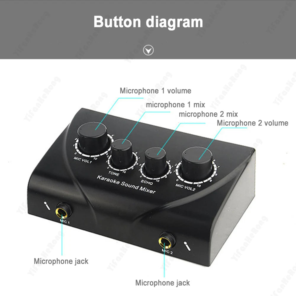 Dual Mic Karaoke Mixer with Echo Control