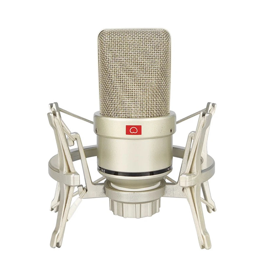 Professional Condenser Microphone Studio Kit